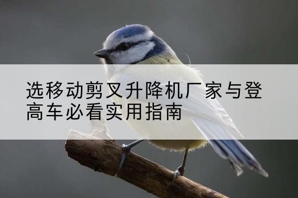 湖里电动升降机厂家-选移动剪叉升降机厂家与登高车必看实用指南