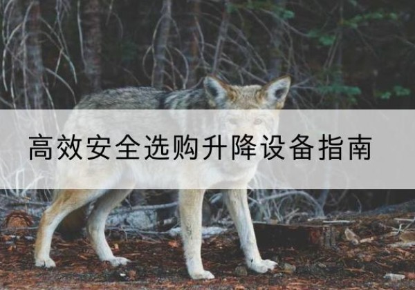 湖里升降货梯厂家推荐-*安全选购升降设备指南